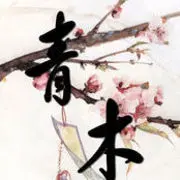 C小鱼儿