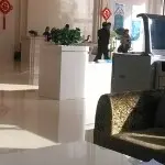 我第二个老公