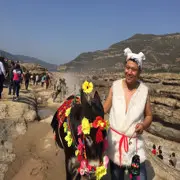 罗布狼