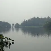 ^^^你猜我猜不猜