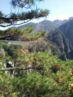 小八呱vs影子的主播照片
