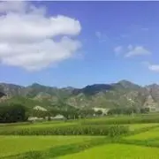 我是小牛牛a