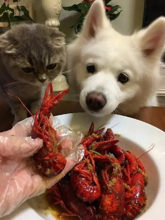 ❥❥鑫鑫ღ的图片