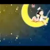 ~(*辉^ω^少^ω