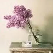 ❀say