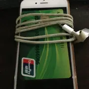 廊子野心