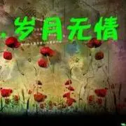 活跃跳动