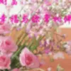 Memor°情若寒ご