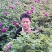 月移影动