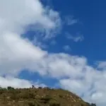 ♥心懂♥的心♥