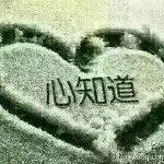 浩浩专属！5