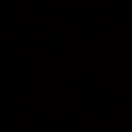 &amp;落叶2号