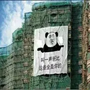 采冰者
