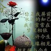 紫色经典