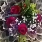 ★随梦而飞★