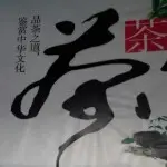 LY╰望☆月