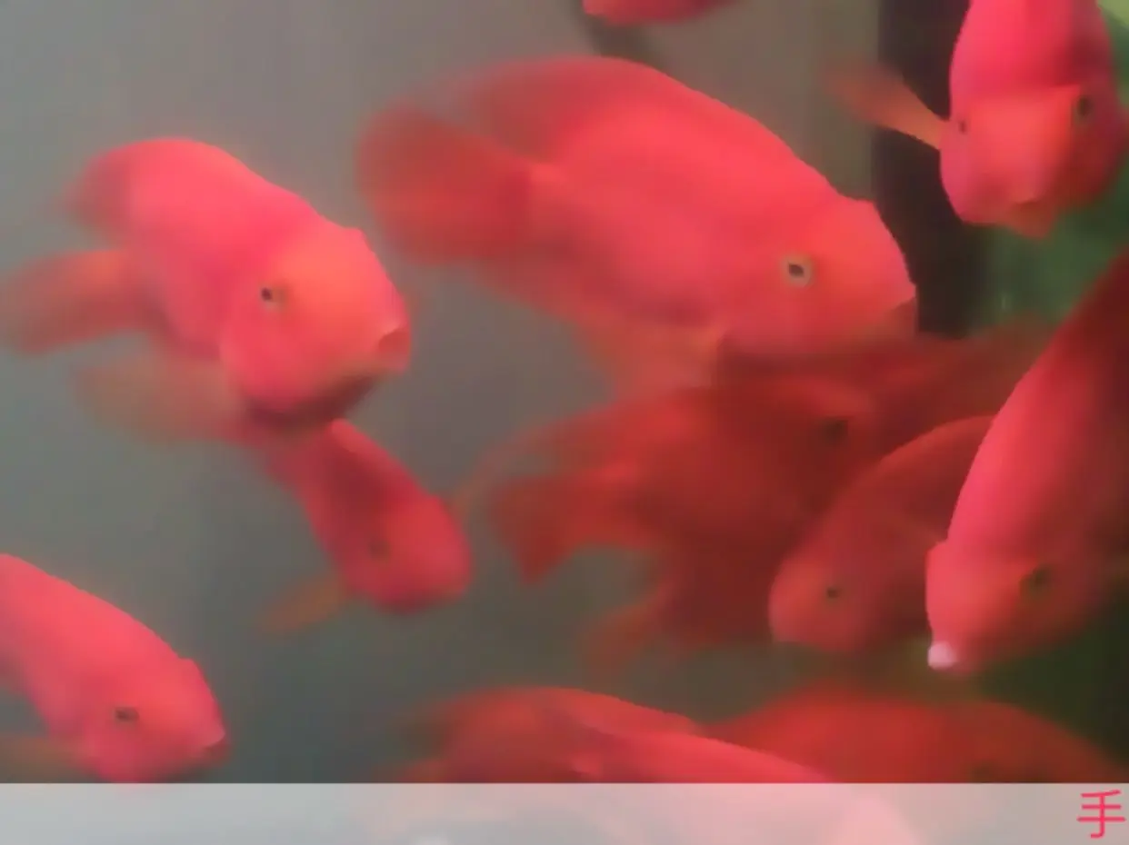 DJMC孙超的主播照片