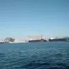 野马收疆