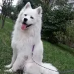 ☜我是谁的谁☞