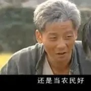 孤单老猪