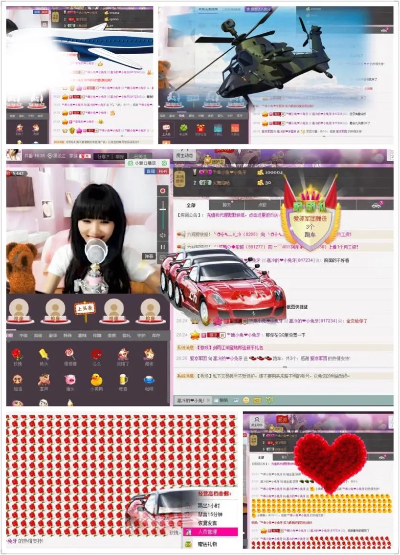 一直没人疼的猫的主播照片