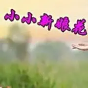 ☜♬小小♬☞新娘花