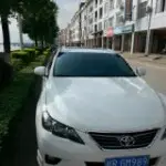 寂寞989