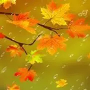闲人三秋