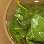 错过了，无悔