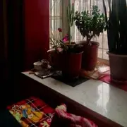 微信_8997272