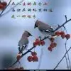 爱我所爱47