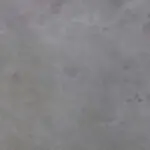 二哥tj