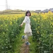 肆月❀❀龙云
