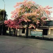 微信_9389293