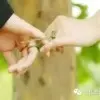 爱ysp