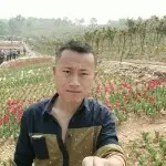 🐺枝江苍狼🐺