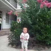 小枫嫁到