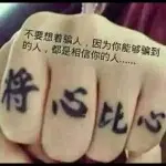 谈感情太TM伤钱