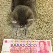 深情不如酒饭