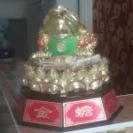 @一个游客@