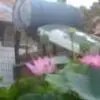 【常爱国】