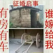 狼王喜欢看跳舞