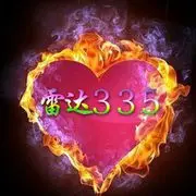 雷达335