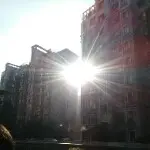 飛你莫属