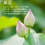 果果々爱笑