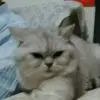 我的人x