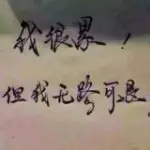 @随风逐流