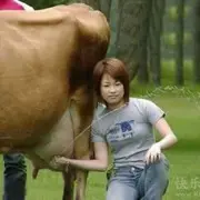 微信_993**