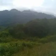 微信_7472002