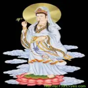 乔迁新禧